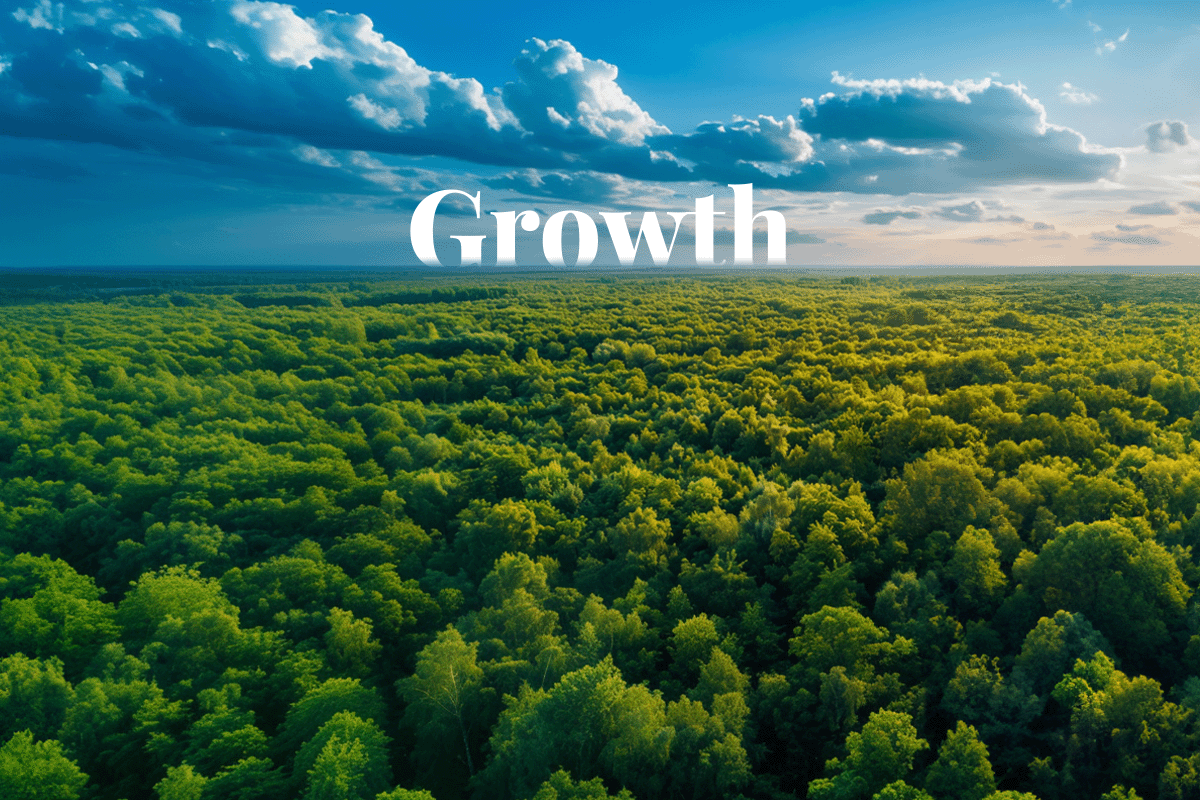 Voluntary carbon credit market to skyrocket, projected to reach $14.56 billion by 2032_Aerial view of a huge deciduous forest stretching to the horizon_visual 1 (1)