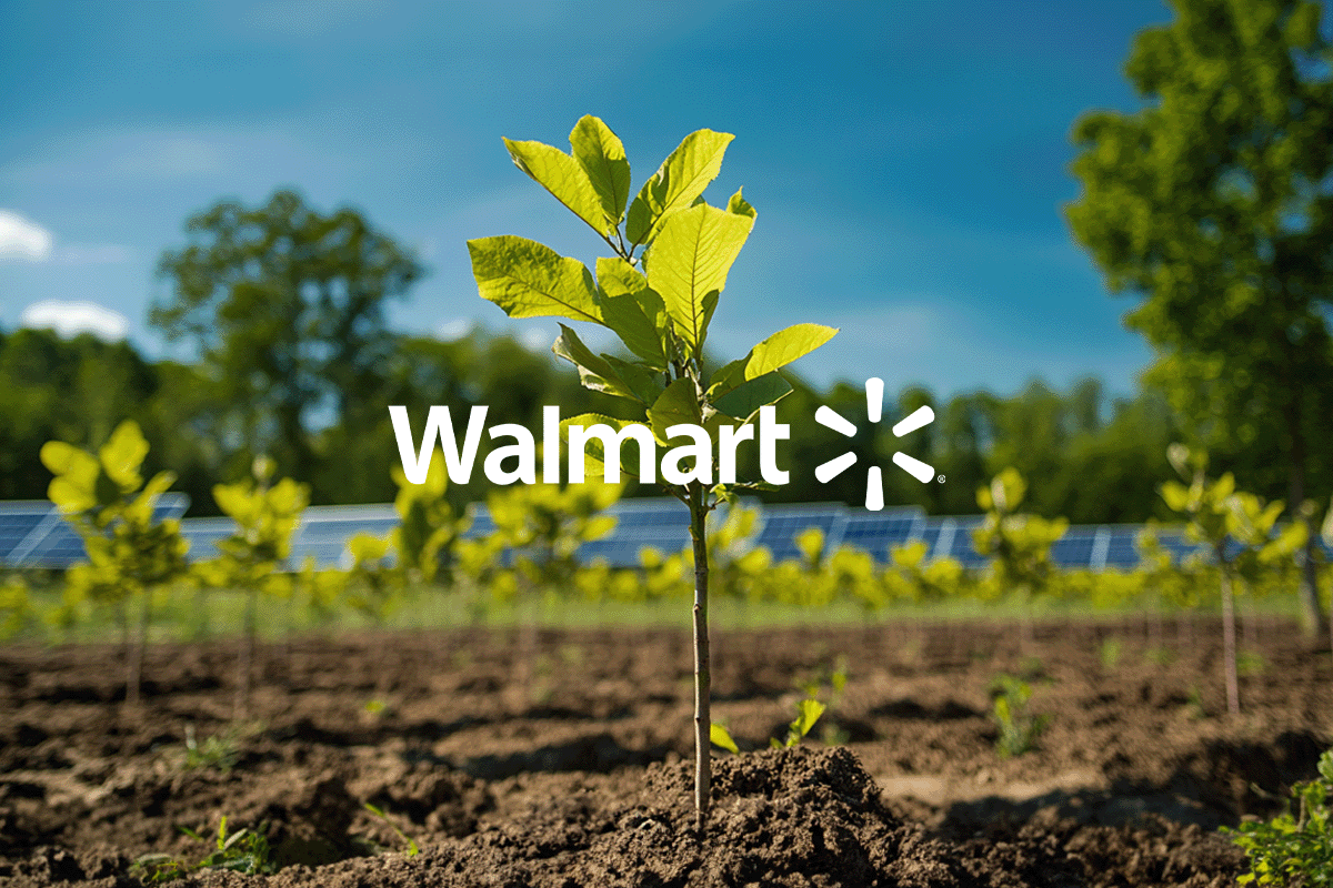 Walmart_ aiming for net zero by 2040_Close-up of a newly planted deciduous forest in the United States, with a field of solar panels in the background_visual 1