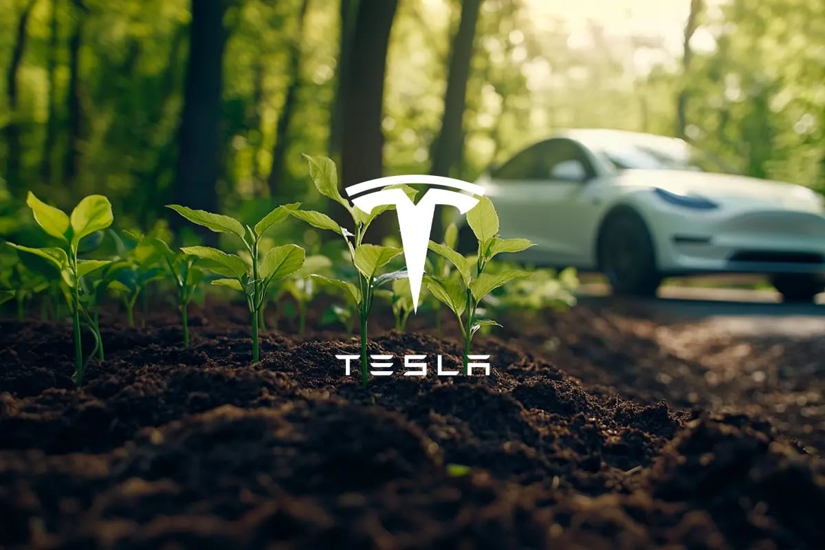 Why Tesla is winning in the carbon market and what’s next_A close-up of growing tree saplings by the roadside, with a Tesla car driving in the background_visual 1