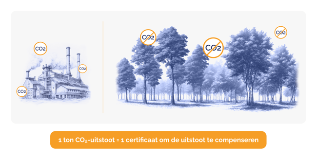 carbon offsetting_NL