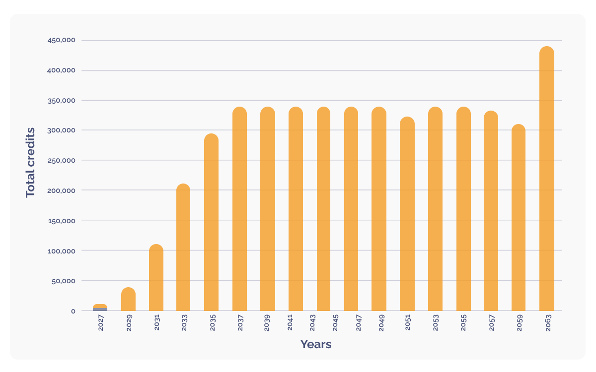 credit issuance_graph_EN