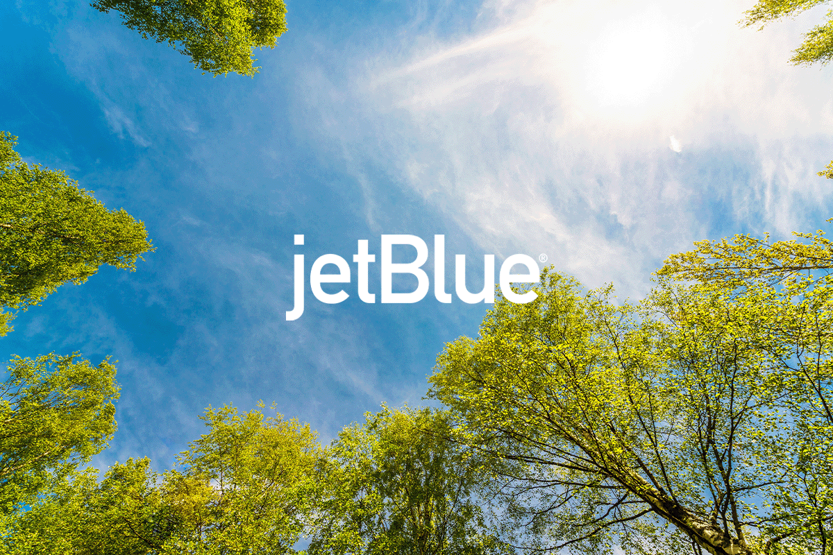 jetBlue_case study_visual 1