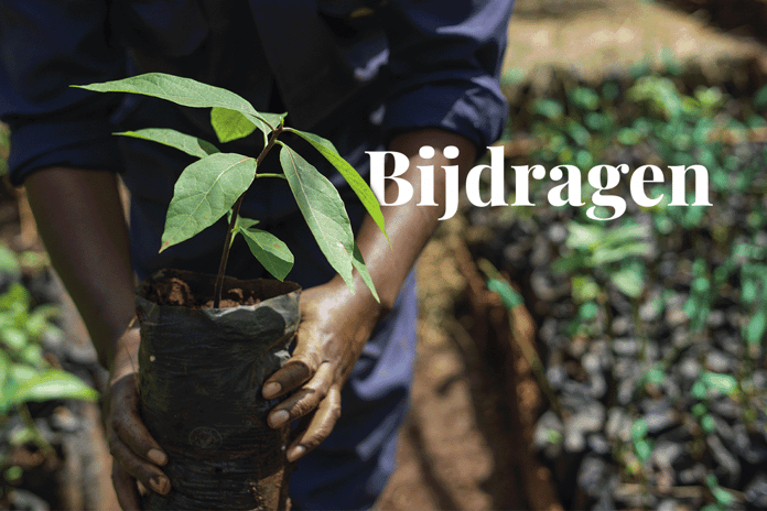 nature-based projects_a man holding a tree seedling as a part of Hongera Reforestation Project_visual 1_NL