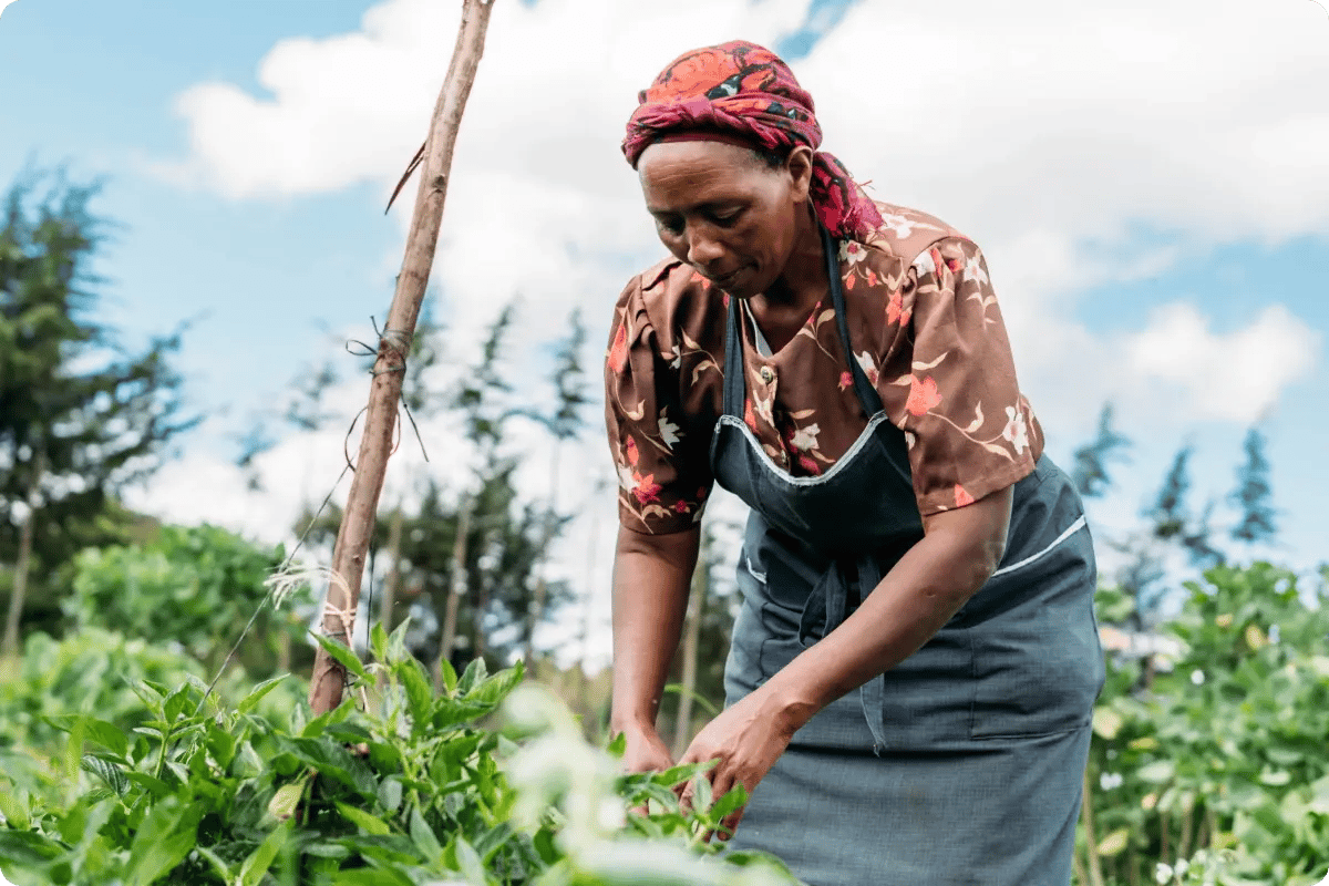 projects_landowners and farmers_long-term impact